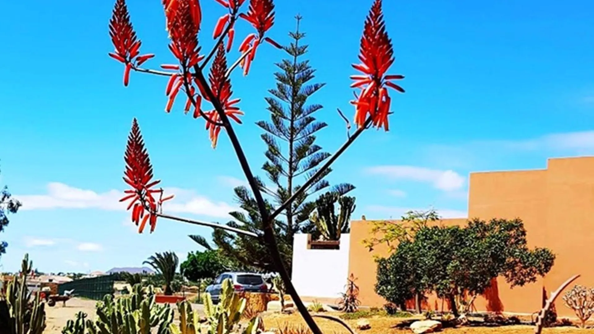 Finca El Lomo - Abseits Vom Massentourismus Triquivijate