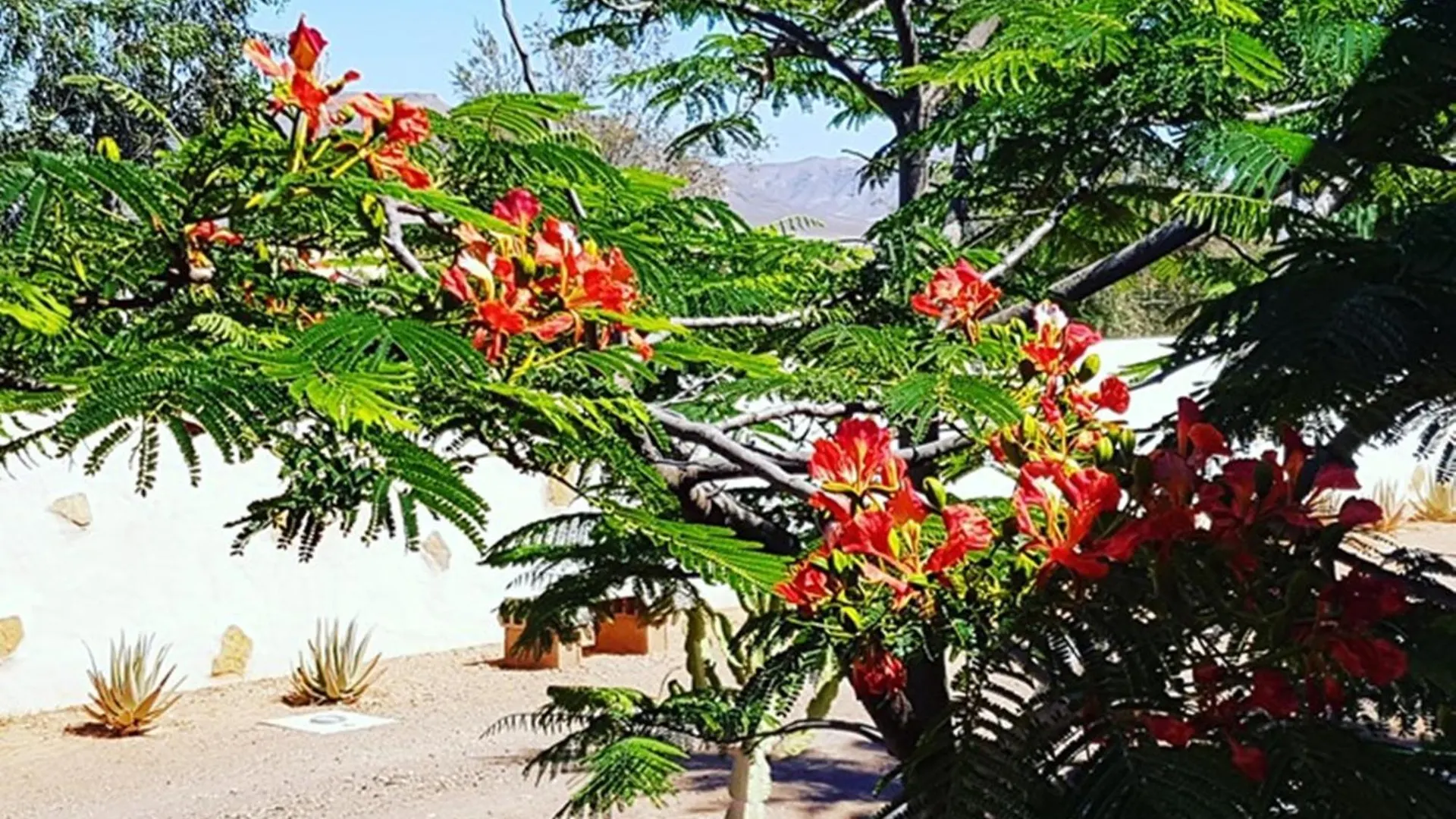 Finca El Lomo - Abseits Vom Massentourismus Triquivijate Villa